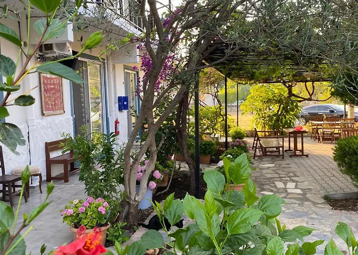 Mermaid マルマリス